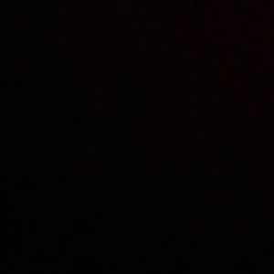 Meet your Posher, Angelina